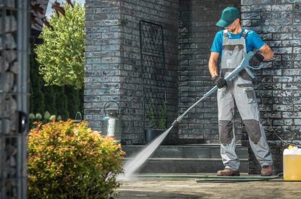 Solar Panel Cleaning in Rio Pinar, FL